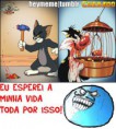 /album/fotos%20engra%c3%a7adas%20%3a/a399743-285319964855548-267411896646355-726317-1391440942-n-jpg/