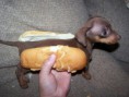 /album/fotos%20engra%c3%a7adas%20%3a/cachorro-quente-hot-dog-jpg/